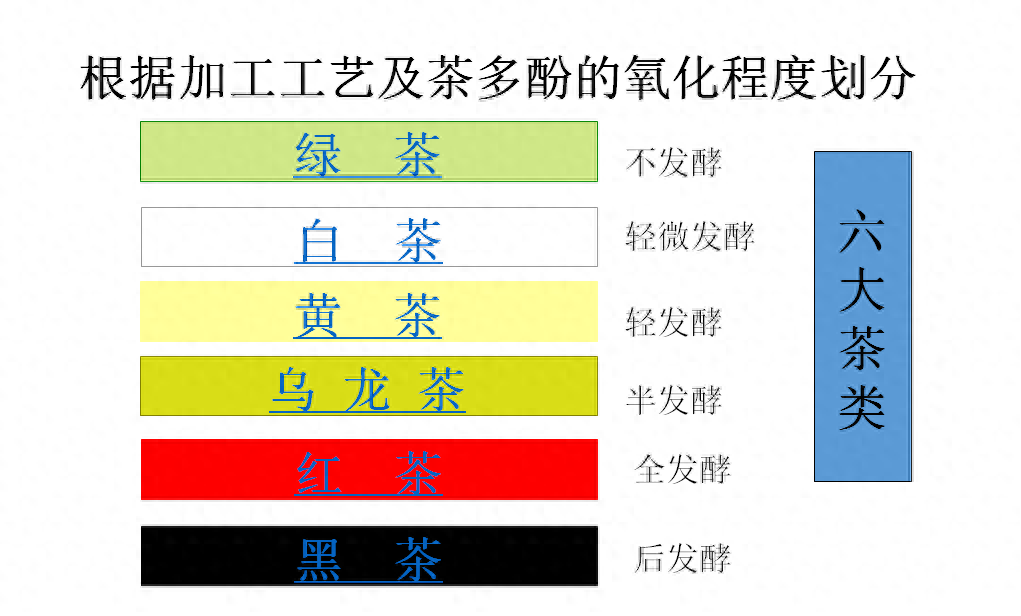 一篇文章讲清楚乌龙茶