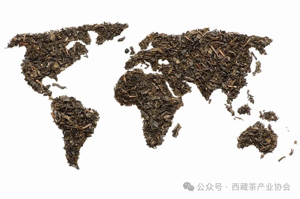 茶文化的历史传承与现代发展趋势（茶文化的传承与发扬）